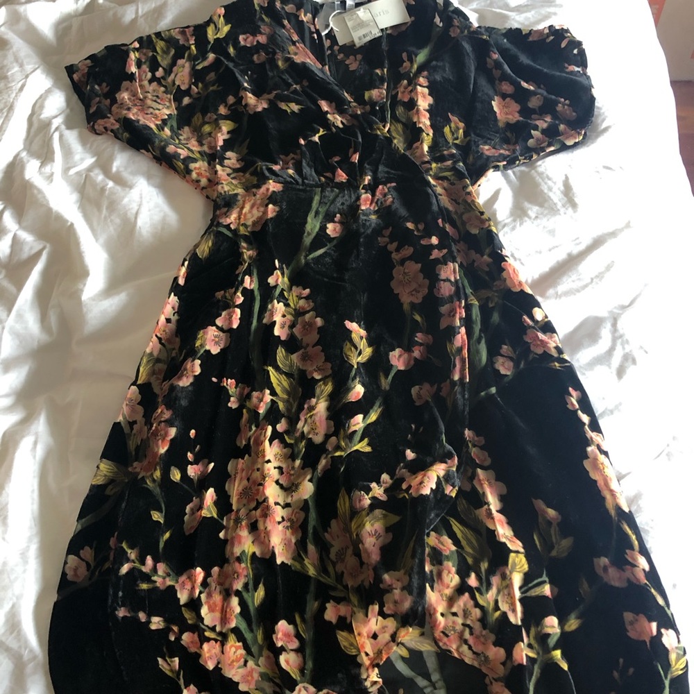 Black and pink floral velvety Lucy Paris XS dress